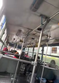 No RESPETAN ni el colectivo de transporte publico+ VARIos videos 2