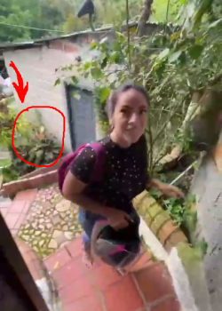 Cuando ella te va a culiar en el MOTELAZO + videito 2