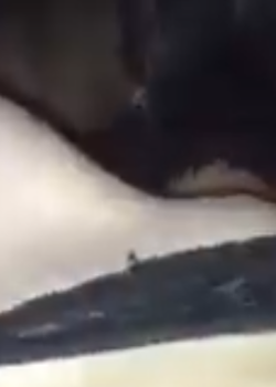 Lesbiana bien juguetona 7