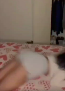 Peladita calientita + video 14